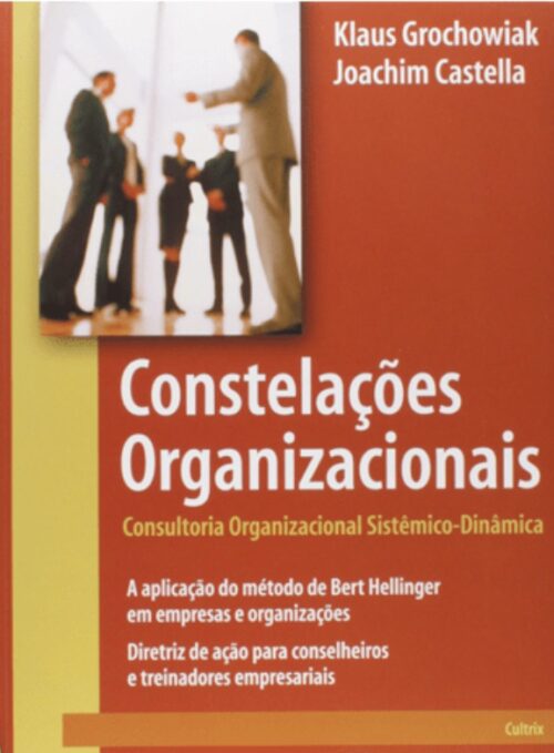 CONSTELAÇÕES ORGANIZACIONAIS - Consultoria Organizacional Sistêmico - Dinâmica